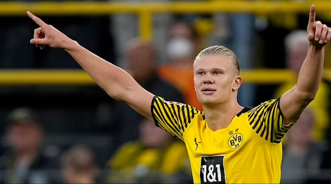 周六012德甲：沃尔夫斯堡VS海登海姆 赛事分析